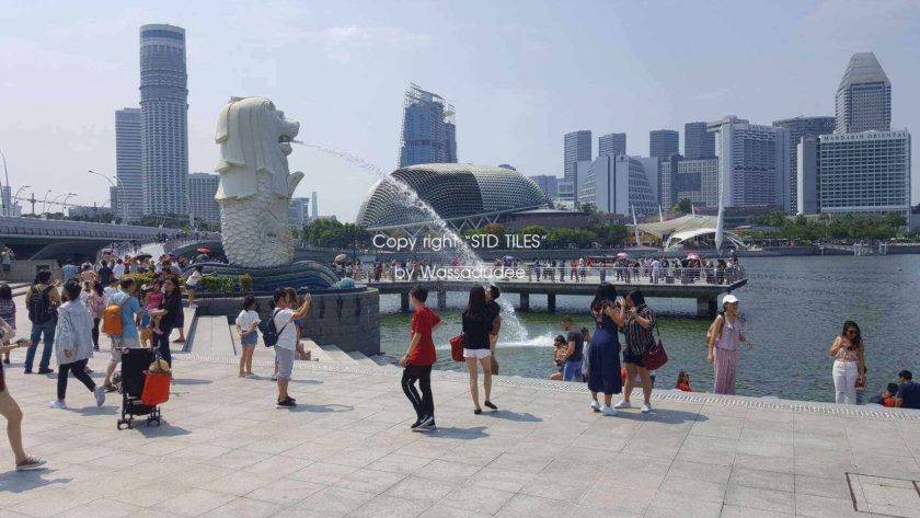 ปุ่มสแตนเลสปูพื้น 