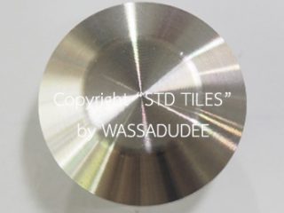 หมุดทางเดินคนตาบอดแสตนเลส