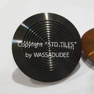 ปุ่มแสตนเลส คนตาบอด