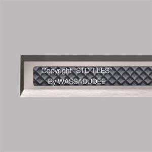 STD310S(STP)-ANCH316 (SQ001HL) 001