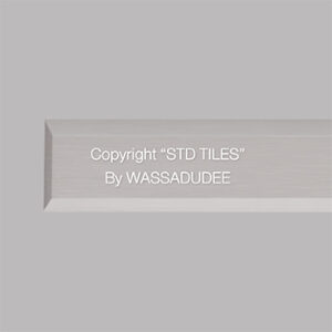 STD310S(STP)-ANCH316 (SQ305HL) stainless tactiles