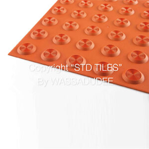 ทางเดินผู้พิการทางสายตา